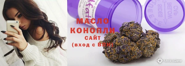 стафф Ельня