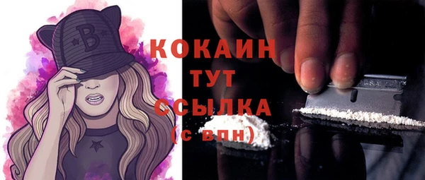 стафф Ельня