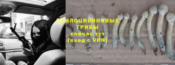 стаф Елабуга