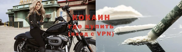 мдпв Елизово