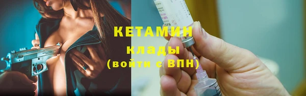 стафф Ельня