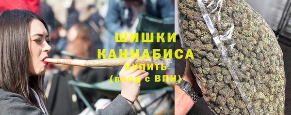 стаф Елабуга
