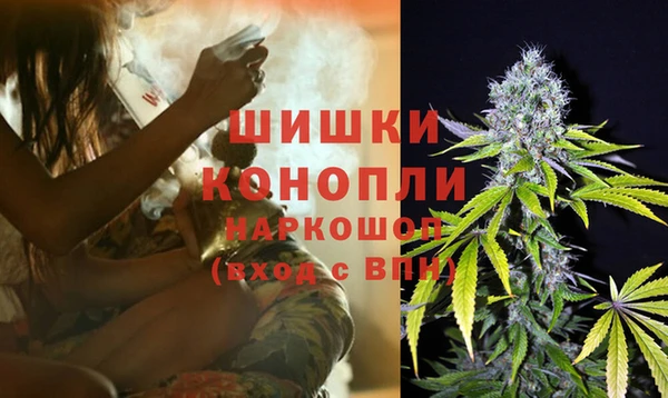 стаф Елабуга