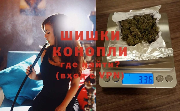 стафф Ельня