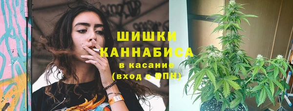 мдпв Елизово