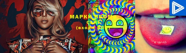 стаф Елабуга