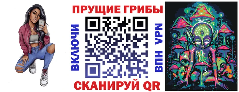 Псилоцибиновые грибы GOLDEN TEACHER Купить закладки Терек